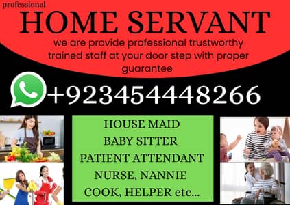 professional House maid cook babysitter driver patient Attendent