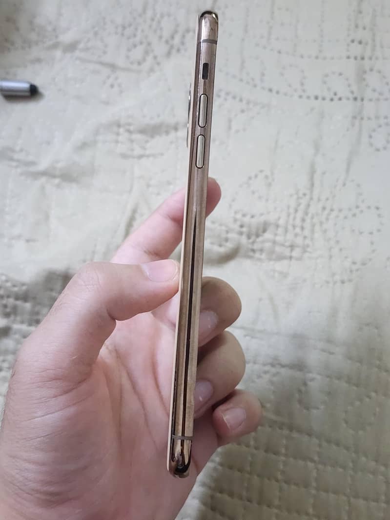 iPhone 11 Pro Max Back Casing 2