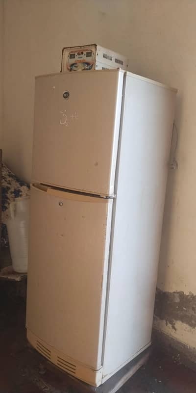 PEL COMPANY MEDIUM FREEZER