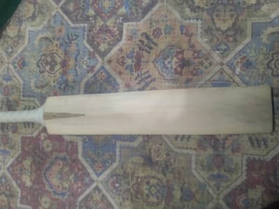 A Grade Kashmir willow bat 10/10 condition