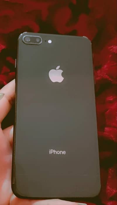 pta approved 256 bettry change