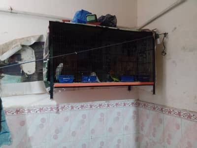 cage for sale