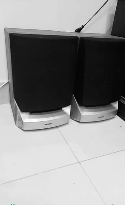 Philips original speakers with 2 channel amplifier