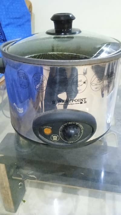 Wespoint Electric Fryer
