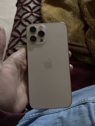 iPhone 12 Pro Max PTA Approved