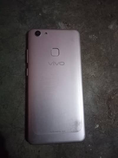 vivo box complit