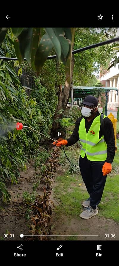 Fumigation & Termite Control Services | Deemak | Bed Bugs | Mosquitoes