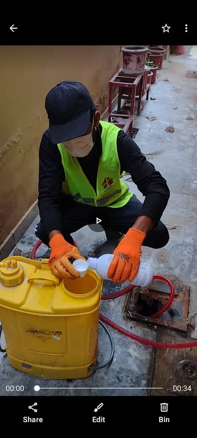 Professional Pest Control Deemak Control | Termite, Bed Bugs, Roaches