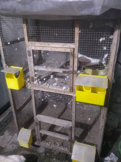 2 portion pegion wood cage