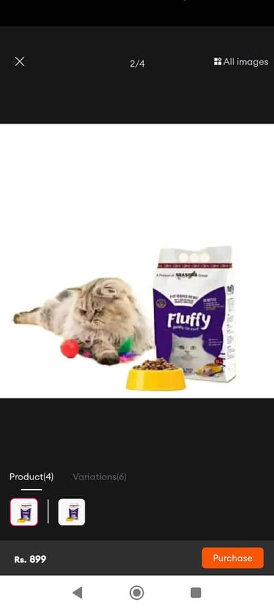 fluffy cat food chicken or fish flavor