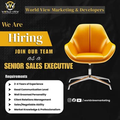Sales Executive