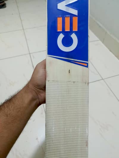CEAT kashmir willow bat