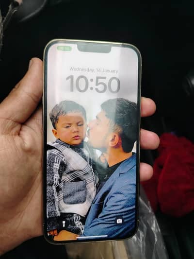 13 pro max lush condition