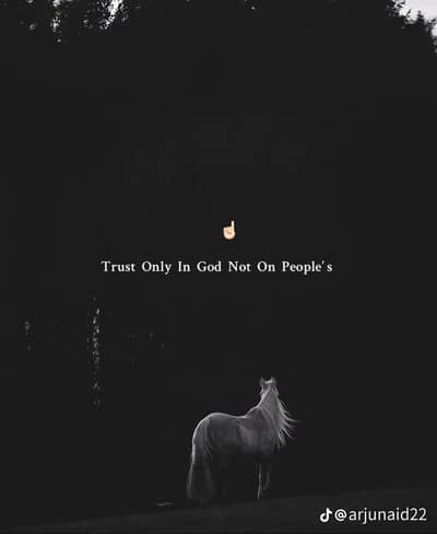 i need hafiz quran for recording