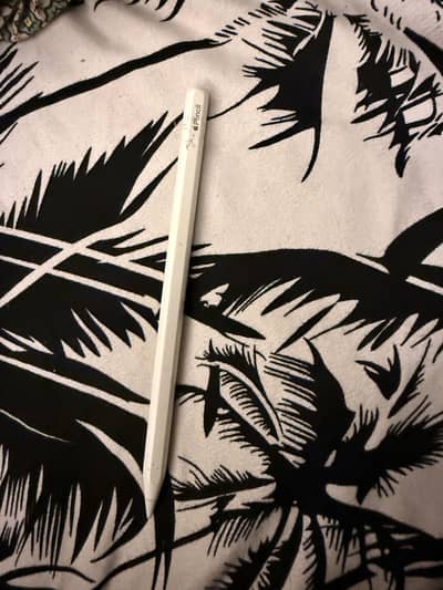 Applle Pencil 2 (wireless)