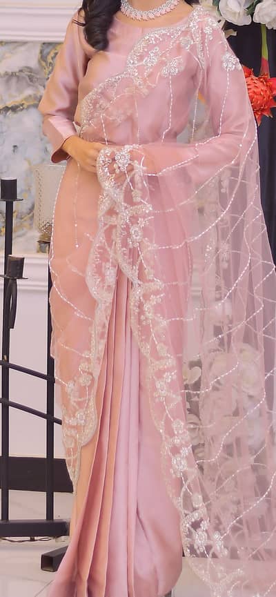 Katdana work on net with silk SAREE