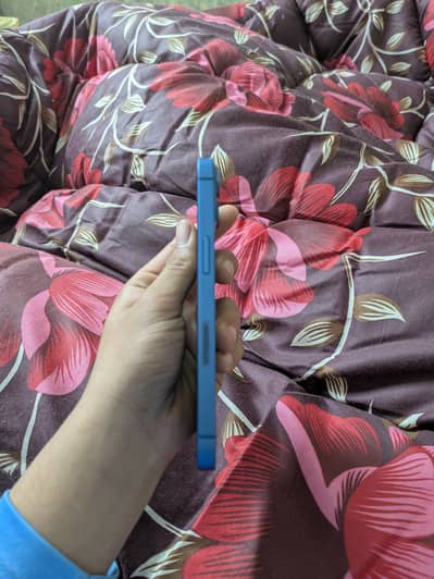 I phone 13 pta approved