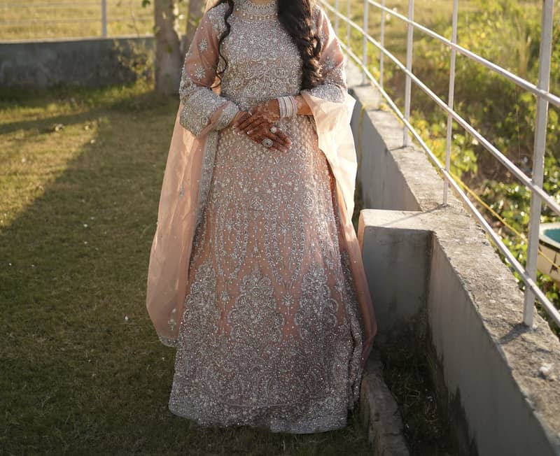 Walima Maxi 1