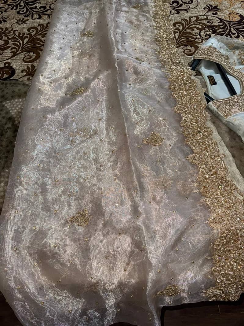 Walima maxi 12