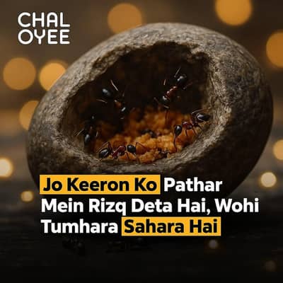 Computer Operator / Accounts Assistant