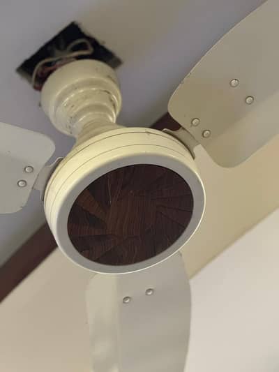 Royal Celling fan for sale like new Condition price are final