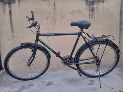 large size cycle for sale