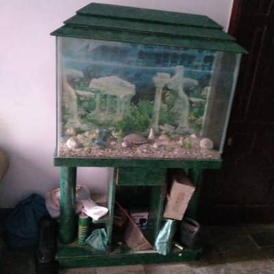 Fish aquarium for sale