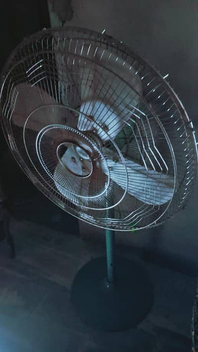 fan for sale