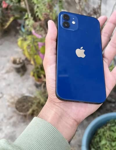 IPhone 12 256Gb Dual Pta Approved