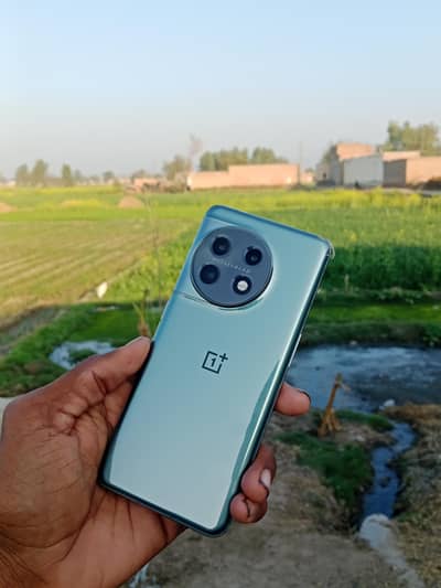 10by10 Like new Pubg king