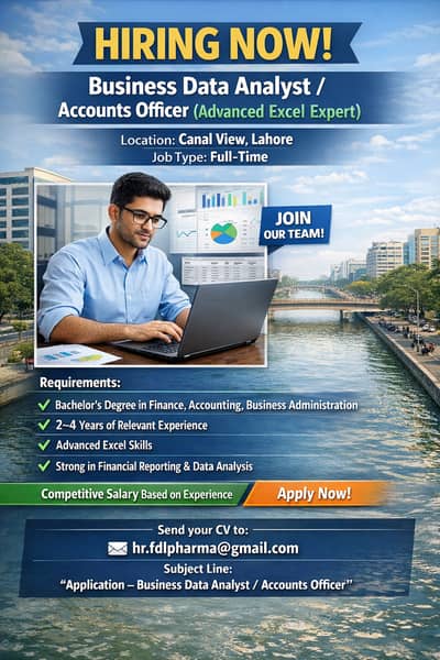 Business Data Analyst / Accounts Officer (Advanced Excel Expert)