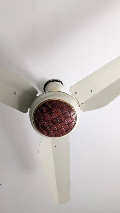 56 inch fans copper