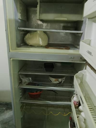 Dalliance full size refrigerator for urgent sale