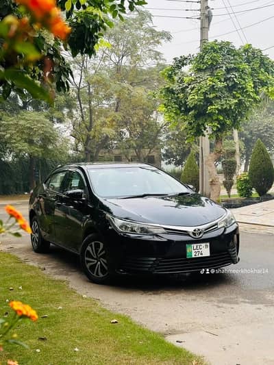 Gli 2019 Bumper to bumper