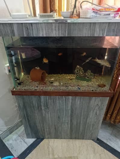 Fish Aquarium with All accessories with medicine and food