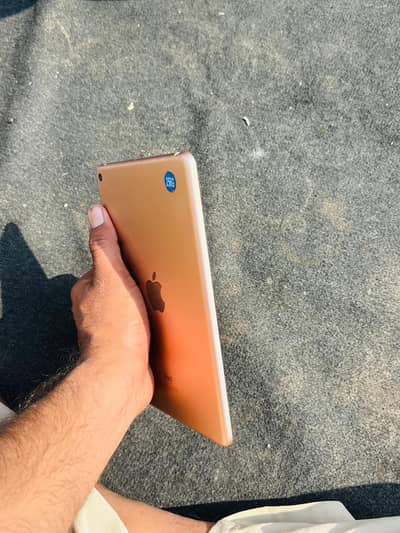 iPad mini 5 / 256 GB