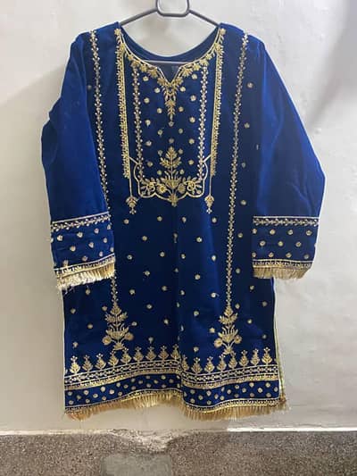 velvet embroidered shirt