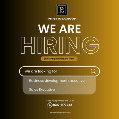 Business Development Executive