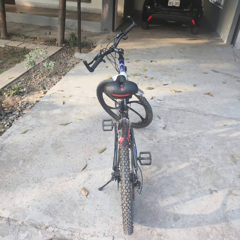 Imported Bicycle 1