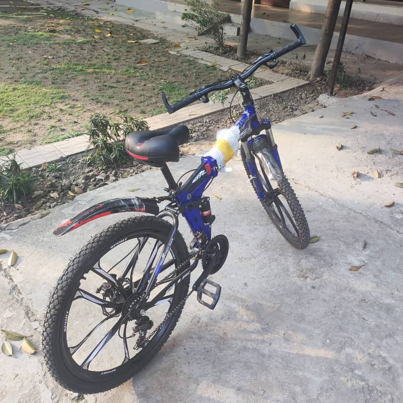 Imported Bicycle 2