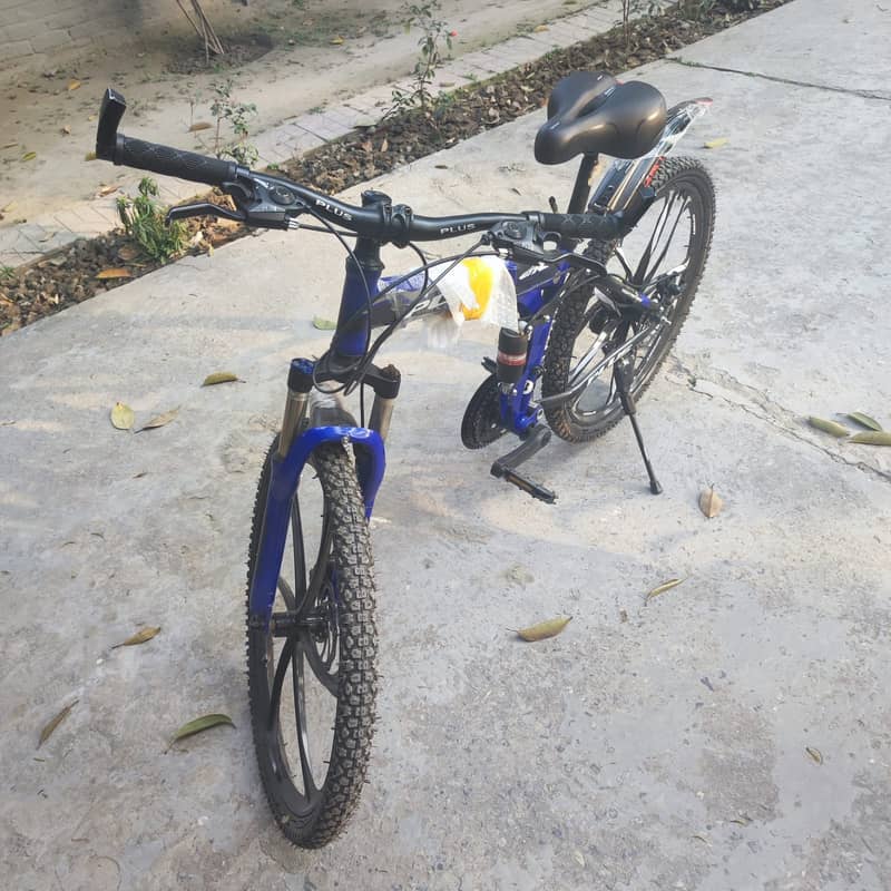 Imported Bicycle 5