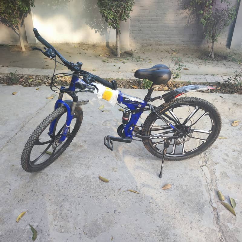 Imported Bicycle 6