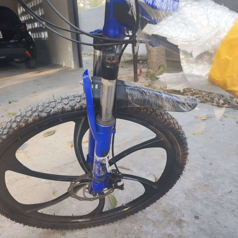 Imported Bicycle 10