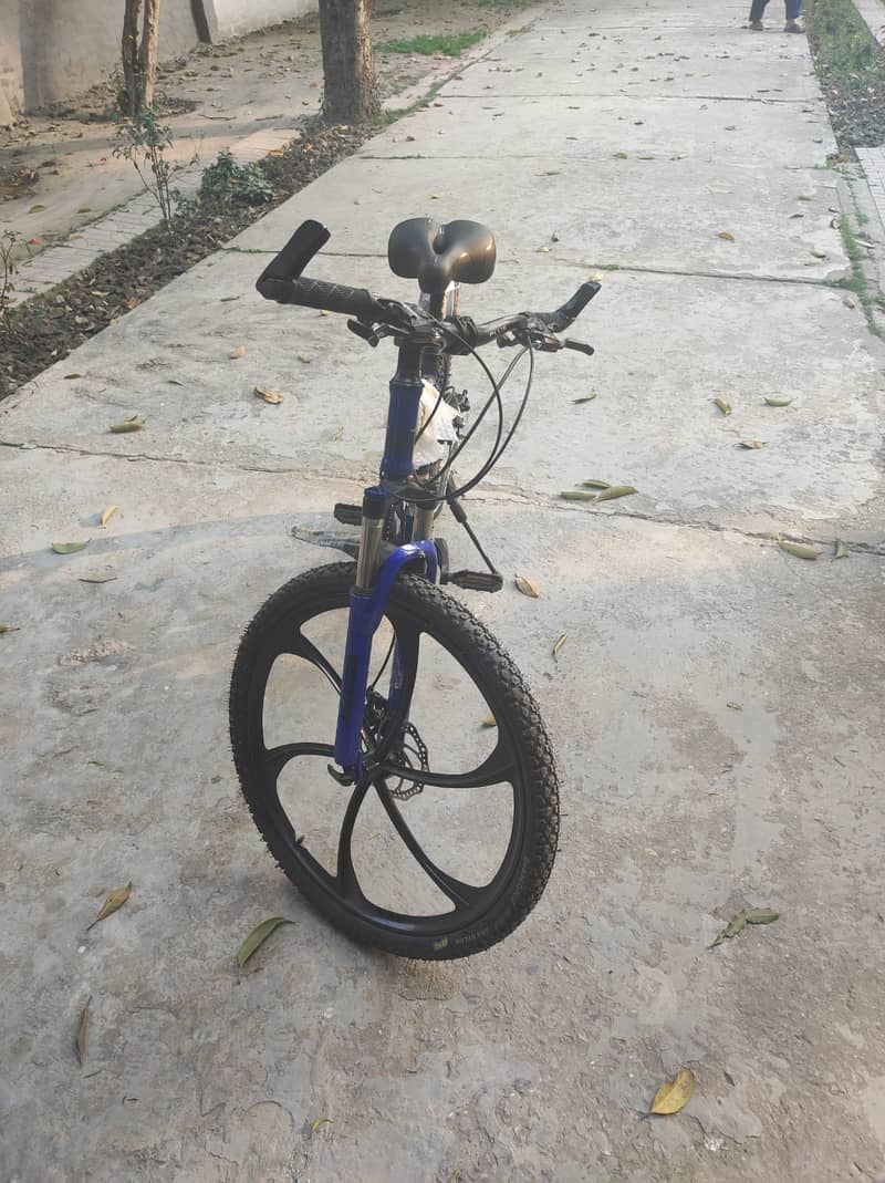 Imported Bicycle 11