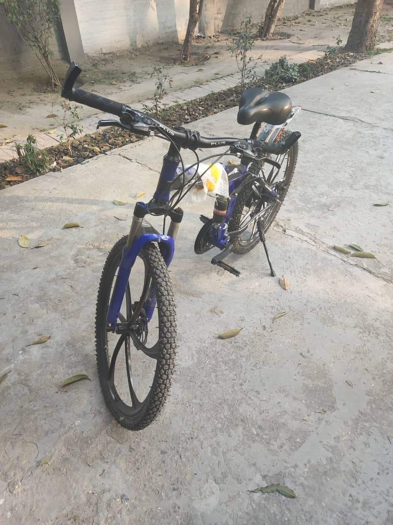 Imported Bicycle 12