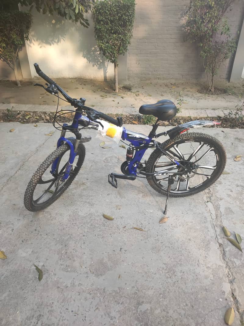 Imported Bicycle 17