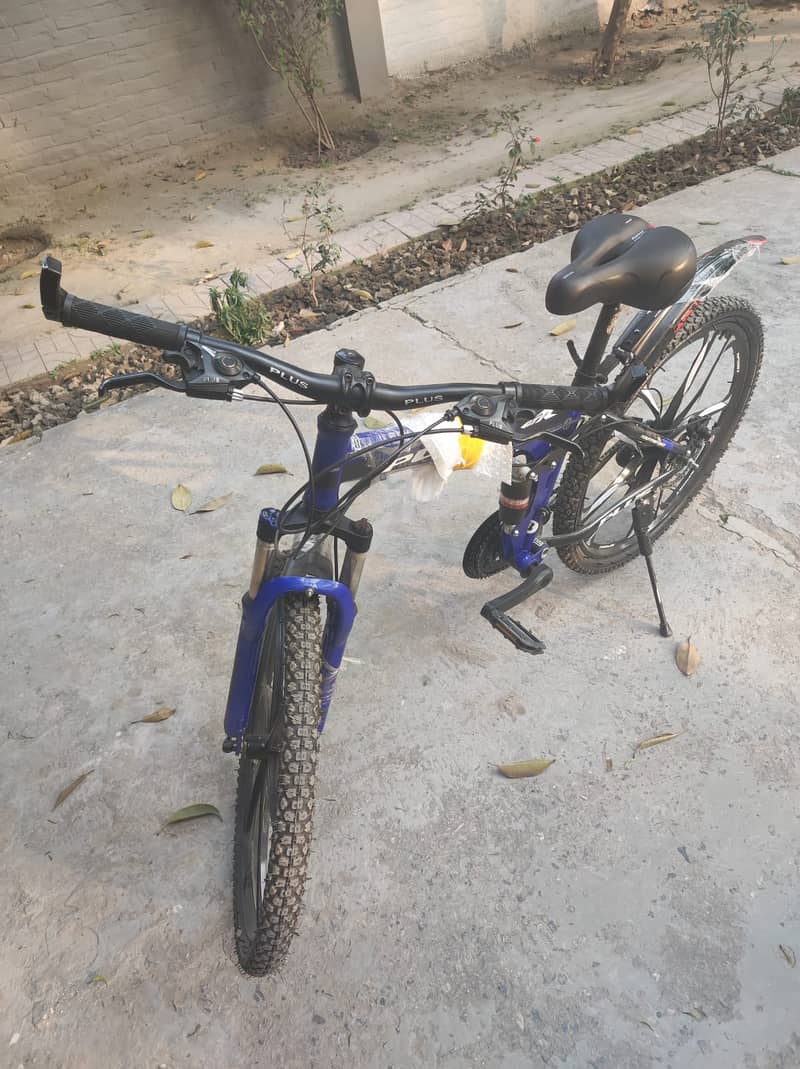 Imported Bicycle 18