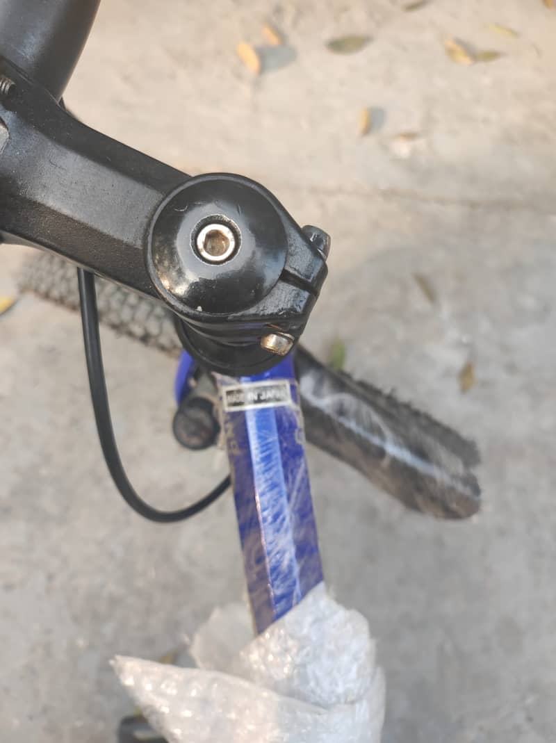 Imported Bicycle 19