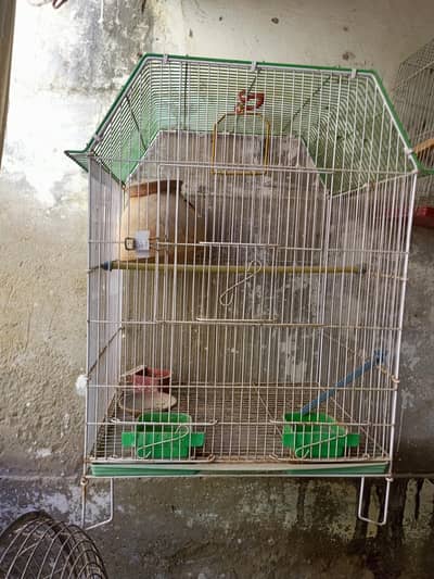 big cage all ok hai new Jess hai