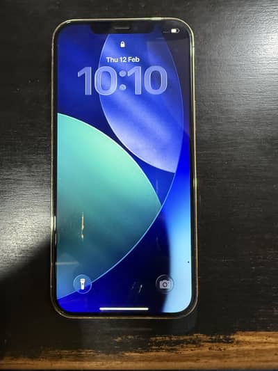 12 Pro Max 256gb PTA Approved